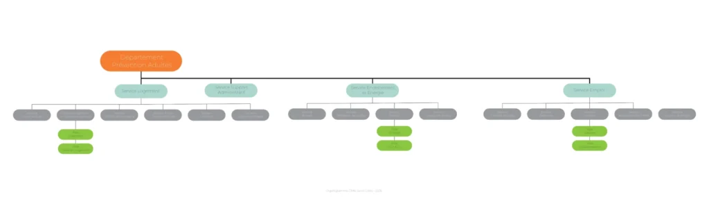 Organigramme Département Prévention Adultes
